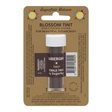 Picture of AUBERGINE FOOD COLOUR DUST POWDER 7ml BLOSSOM TINT